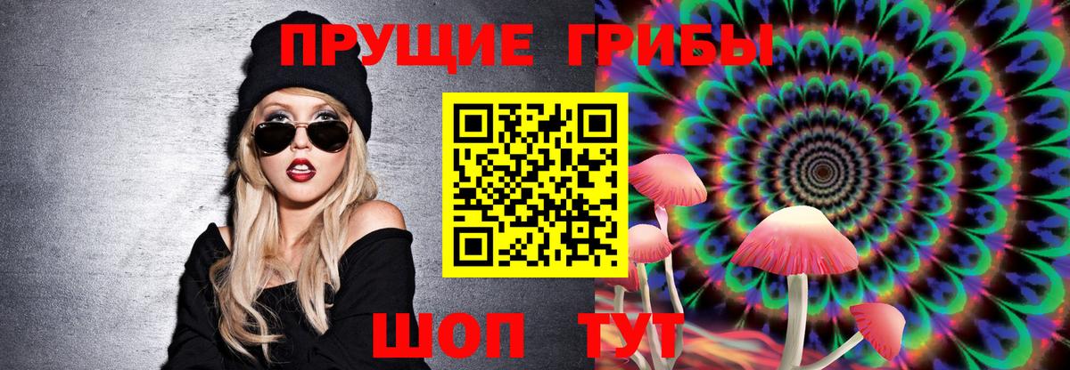 Галлюциногенные грибы GOLDEN TEACHER Новороссийск