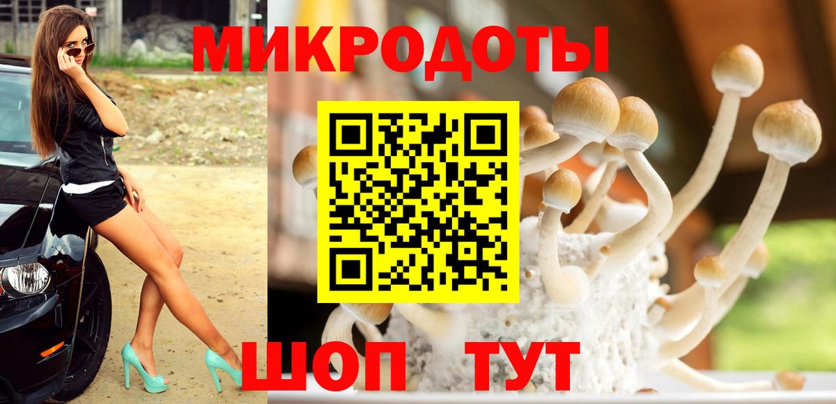 Галлюциногенные грибы прущие грибы  Галлюциногенные грибы GOLDEN TEACHER  Вход с VPN  Новороссийск 